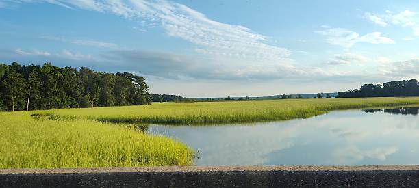Calm waters in Jamestown, Virginia