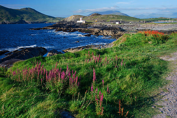 Valentia Island, County Kerry, Ireland