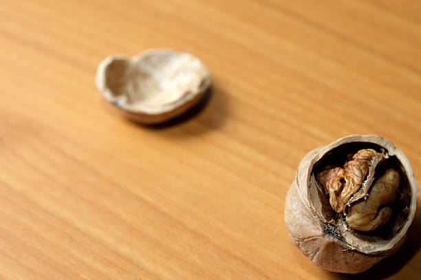 Walnut shell isolated on white background