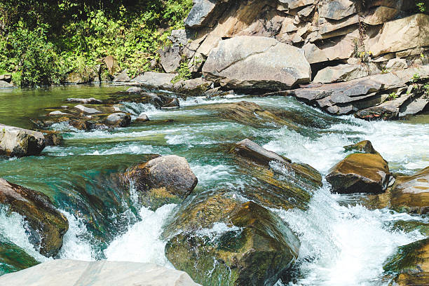 istock Rocks in flowing water at a river surrounded by green trees and stones 2254966496