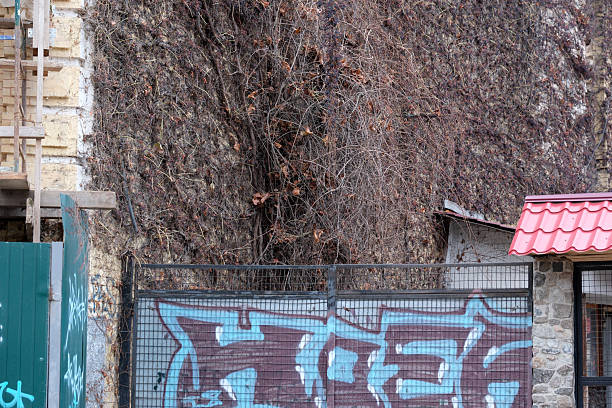 Close-up of an old stone building with damaged walls, barred windows, and fallen leaves covering ground. The aged architecture and natural decay evoke a sense of history, nostalgia, and abandonment
