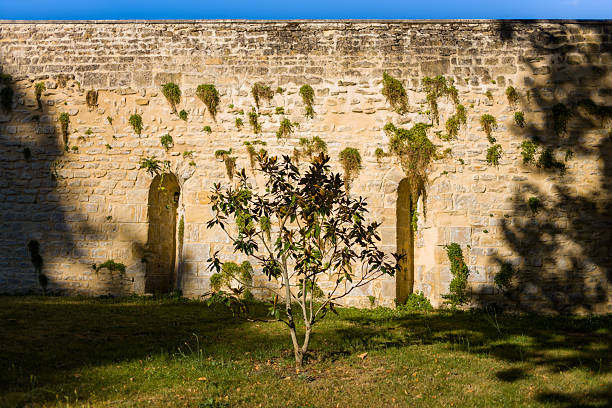 Warm afternoon light illuminates a rustic stone wall with narrow arched niches and scattered patches of greenery, while a small tree casts shadows on the grassy foreground in Nevers. The composition highlights textured masonry, natural patterns, and the tranquil atmosphere of a historic urban garden.