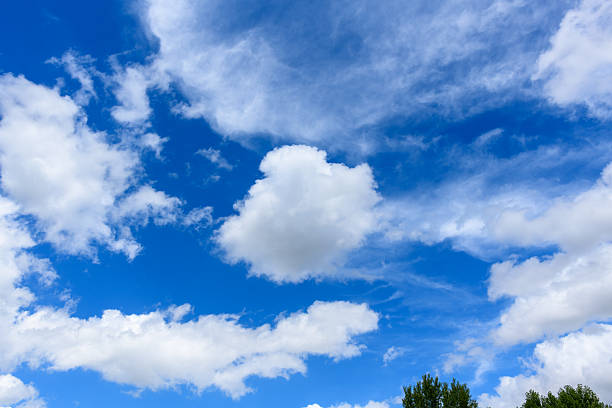 Large fluffy cumulus clouds drift across a deep blue summer sky with hints of green treetops at the bottom edge. The scene is open, airy, and filled with natural light and soft cloud textures.