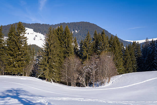 istock Snowy alpine meadow with evergreen forest Megeve 2254970940