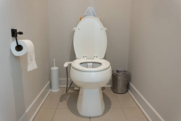 istock Home Toilet with Bidet Attachment 2254972012