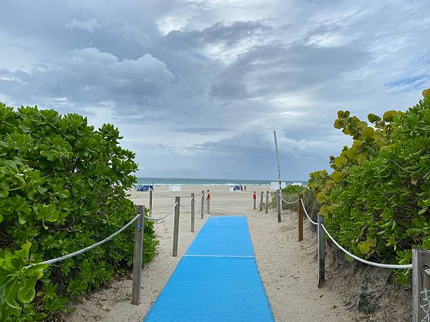 istock Way to the Ocean 2254972140