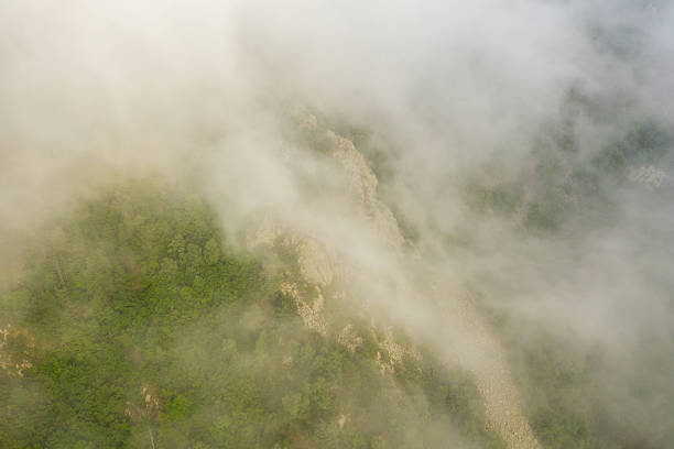Aerial view of a lush green forest partially obscured by drifting mist and low clouds on a rugged mountain slope in the Pyrenees. The scene feels mysterious and tranquil with soft, diffused light.