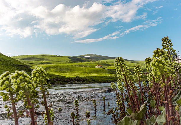 A wide angle landscape shot featuring a rushing river in the foreground, vibrant green meadows, and a small isolated house on a hillside beneath a bright, cloudy sky in a rural mountain region.