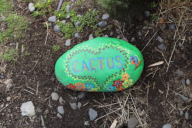 Bright stone marker shows succulents area creatively green artwork pattern