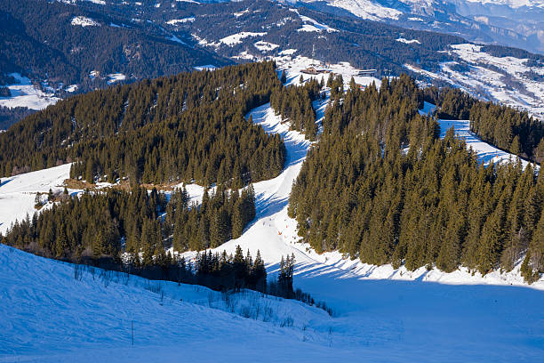 Curved ski run cuts between dense pine trees on a sunlit mountain slope, with layers of snow and forested hills near Megeve in the French Alps.