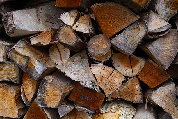 istock Firewood stacked neatly in the garden 2254988925