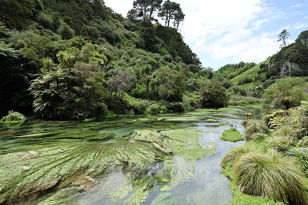 istock Lush Green River Flowing Through Dense Forest Valley Landscape 2254992520