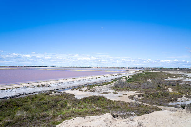Expansive view of a pink salt marsh bordered by white mineral deposits and green scrubland, with a distant village under a bright blue sky. The scene is open and airy, highlighting contrasting textures and vibrant natural colors.