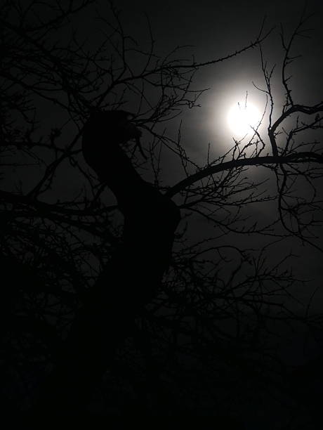 Full moon from afar against a black background of the night sky