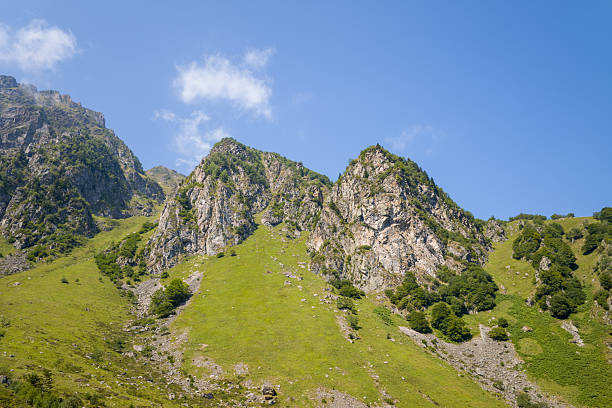 Jagged rock formations rise above vibrant green slopes and scattered trees in the Pyrenees mountains, illuminated by bright sunlight under a clear blue sky.