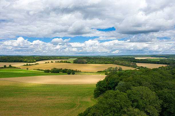 istock Vast rural landscape with fields and forest edge 2254996550
