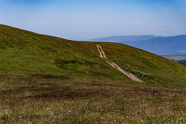 Footpath on the Seiser Alm or Alpe di Siusi -  with Sassolungo - Langkofel mountain group in background during springtime in the Dolomites. Yellow spring flowers in the meadows and some wooden chalets sheds on the high plain in the Alps, Trentino Alto Adige, South Tyrol, Italy.