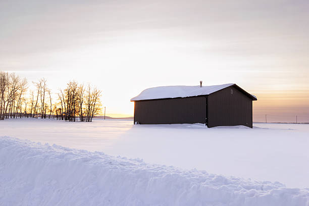 Icy weeds at Howell Wetlands with a roof in the distance beyond snowy plants, Evansville, IN