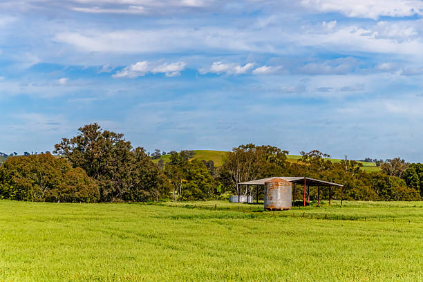 A Serene Spring Scene. - Clouds and Green Fields in the Riverina, NSW, Australia