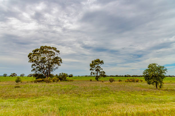 istock Clouds over the green pastures in the Riverina countryside 2255000515