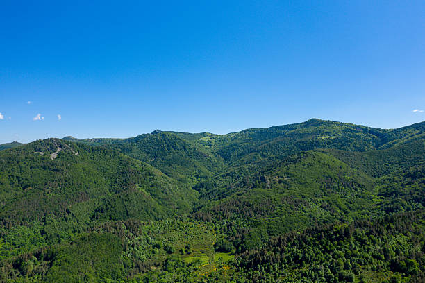 Aerial perspective of densely forested hills and rolling mountain ridges beneath a vibrant blue sky in the Ardeche region, showcasing rich summer greenery and untouched wilderness.