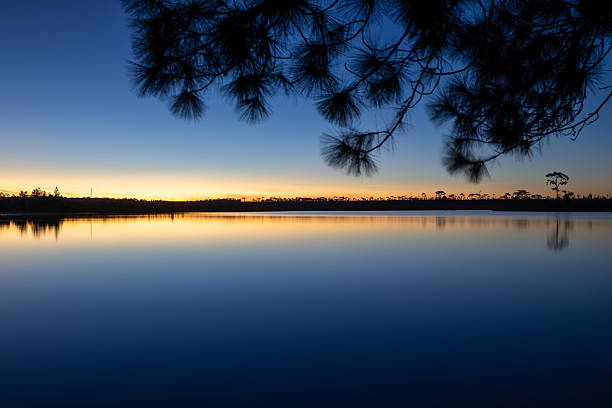 Scenery of a lake during sunrise, with the branches of the pine trees in the foreground. Phu Kradueng National Park, Loei, Thailand.