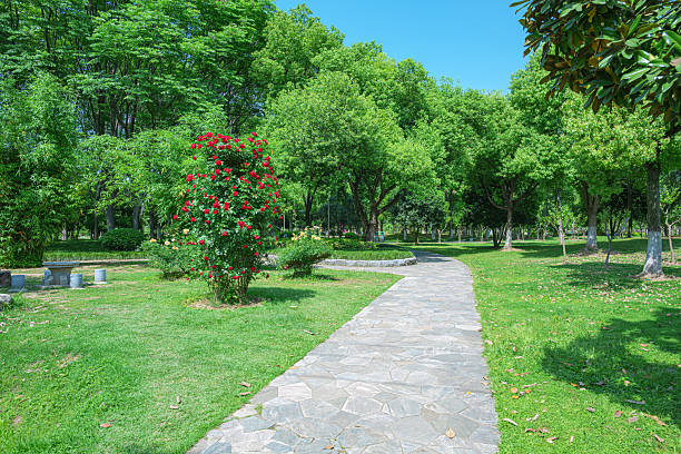 Curved stone brick pathway through the lush green garden