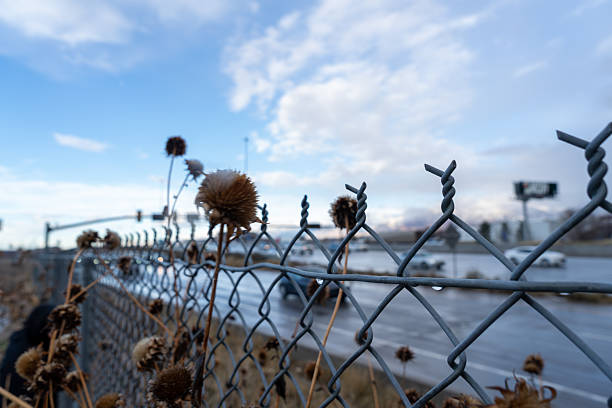 Chain-link fence with dried thistle-like plants in foreground, blurred industrial or urban background with cloudy blue sky. Metallic fence structure creates geometric pattern, with dried seed heads providing organic texture against cold winter landscape. Shallow depth of field emphasizes fence details.