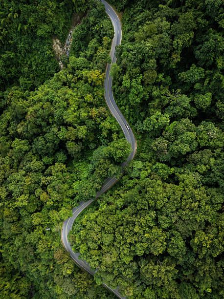 istock Futuristic Electric Vehicle on Smart Road Through Green Forest 2255008109