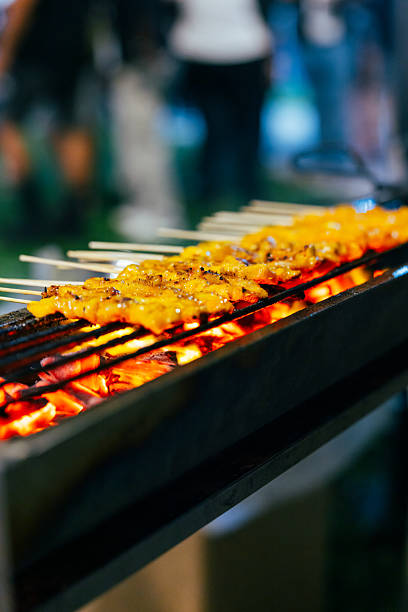 Chicken skewers cooking on barbecue grill.