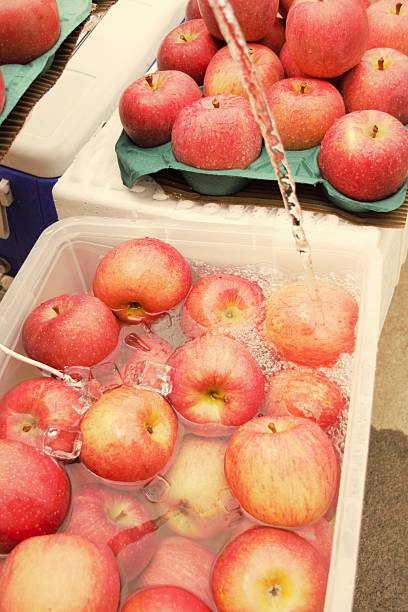 Apples in Yamanashi, Japan in summer