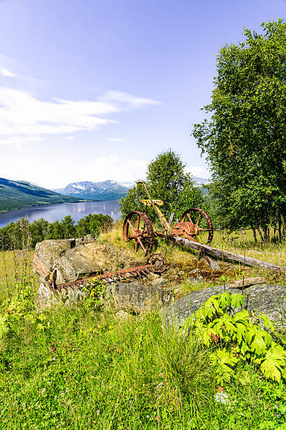 A horse-drawn sickle bar mower is placed on the remains of a building in a meadow with Gjevilvatnet lake and Trollheimen mountains seen in the background during summer.
