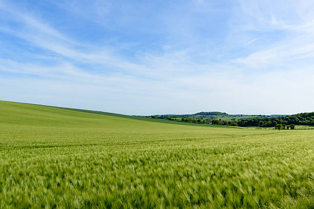 istock Vast barley field with distant hills, Cuncy les Varzy 2255009923