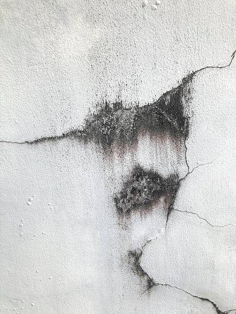 Cracked concrete wall with black mold spots