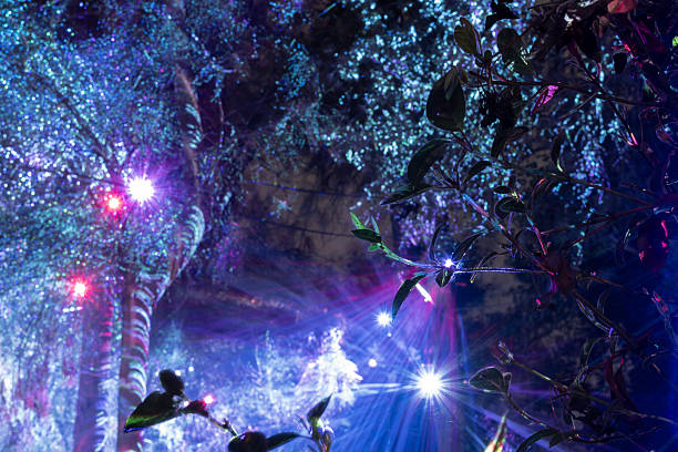 istock Abstract festive background created with long exposure light effects, colorful beams, glowing particles and magical holiday atmosphere 2255012959