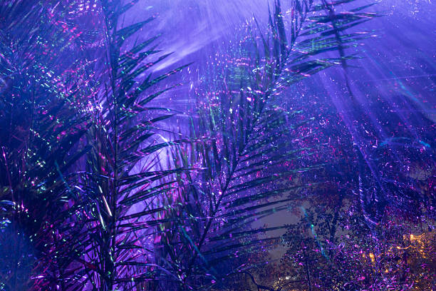 istock Abstract festive background created with long exposure light effects, colorful beams, glowing particles and magical holiday atmosphere 2255013085
