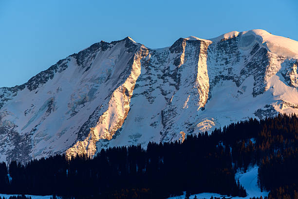 Early morning sunlight highlights the rugged, snow-covered slopes of Domes de Miage above a dark pine forest in the French Alps, creating dramatic contrasts and crisp winter textures.