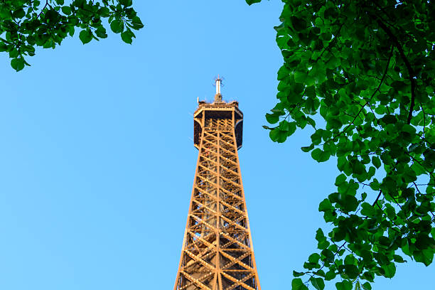 The pinnacle of the Eiffel Tower rises against a vivid blue sky, framed by vibrant green foliage that adds a fresh, natural border to the architectural icon.