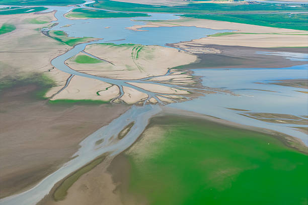 Poyang Lake wetland, dried river, green grassland texture, aerial view