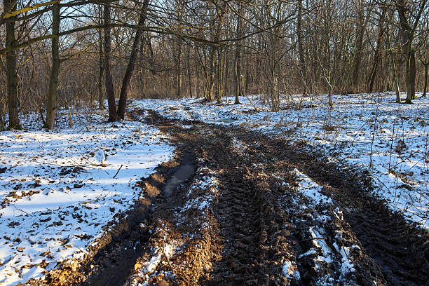 Deep wheel ruts cut through a muddy forest road mixed with melting snow and remnants of fallen leaves. The contrast between dark earth and white cover under the trees creates a harsh landscape conveying an atmosphere of off-road conditions and nature's transition during a thaw.