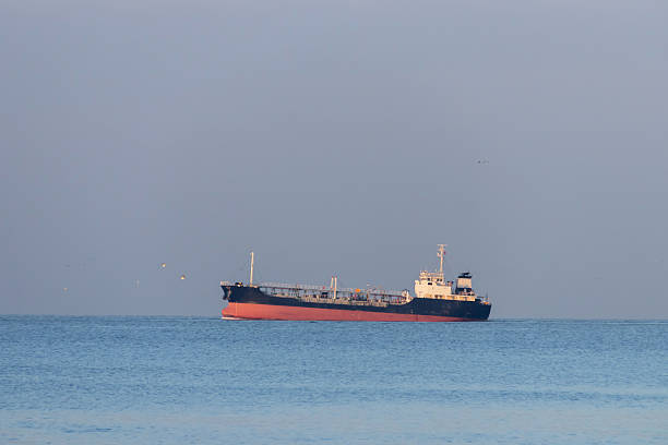 A large cargo ship on calm sea at dusk with soft sky and distant horizon