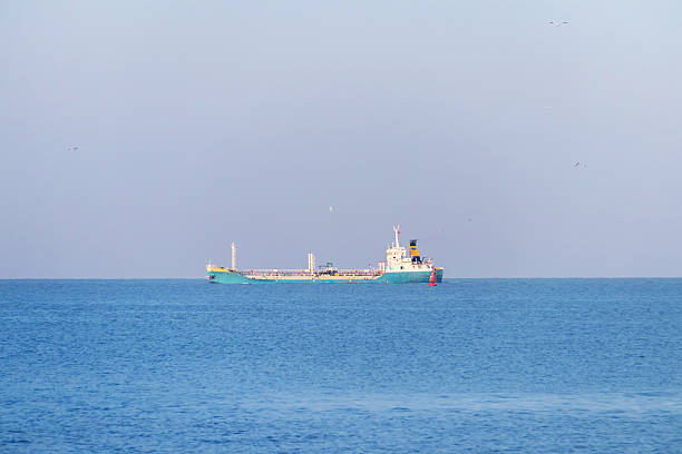A cargo ship on calm blue sea at horizon with soft sky and distant birds, peaceful maritime scene