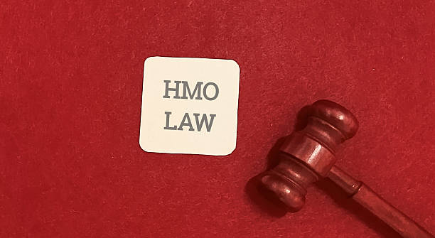 istock HMO law concept with gavel on red background 2255018154