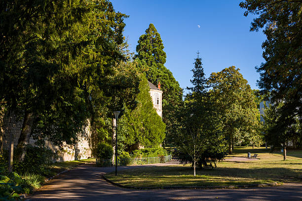 Curving pathway bordered by tall trees and lush greenery, with a historic stone wall and old building partially visible in the background under a clear blue sky in Nevers. The scene features dappled sunlight, natural shadows, and a tranquil urban park atmosphere.