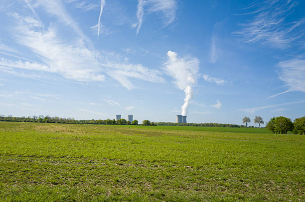 Wide rural landscape with grassy fields and distant nuclear cooling towers emitting white steam under a vivid blue sky. Sparse trees and fresh spring growth create a contrast between nature and industry.