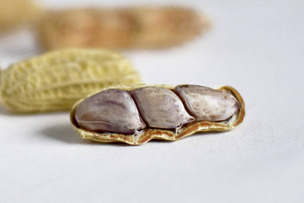 Peeled peanut kernels isolated on a white background, shot up close