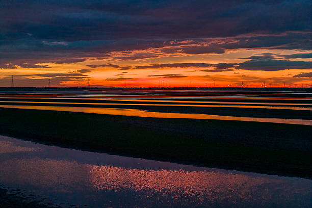 Beautiful sunset, wetland dried-up river, texture overlooking