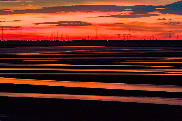 Beautiful sunset, wetland dried-up river, texture overlooking