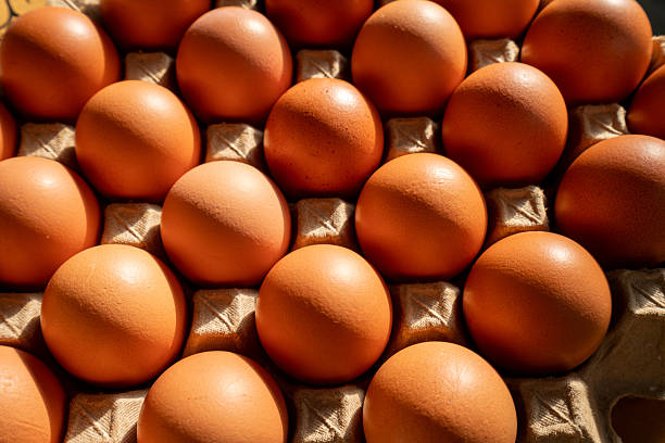 Fresh brown chicken eggs in a cardboard crate tray under warm natural sunlight, top view.