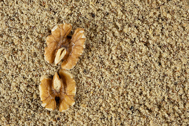 Two walnut halves on ground walnut kernels background top view place for text.